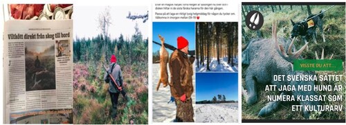 Figure 3. “After a magic hare hunt last weekend this year's hunting season is over and you will find fresh hares in the store. Take the opportunity to cook a luxurious dinner for someone you love.” Text on the photo to the right: “The Swedish way of hunting with dogs is now classified a cultural heritage.”