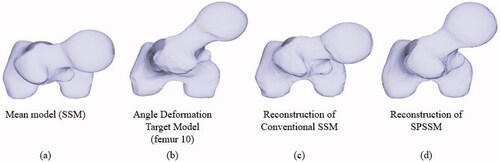 Figure 6. Angle deformation of femoral anteversion. (a) Mean model used in SSM and SPSSM. (b) Deformed target shape to be adapted by SSM and SPSSM. (c) Top view of the femoral shape reconstructed using conventional SSM. (d) Top view of femoral shape reconstructed using SPSSM.