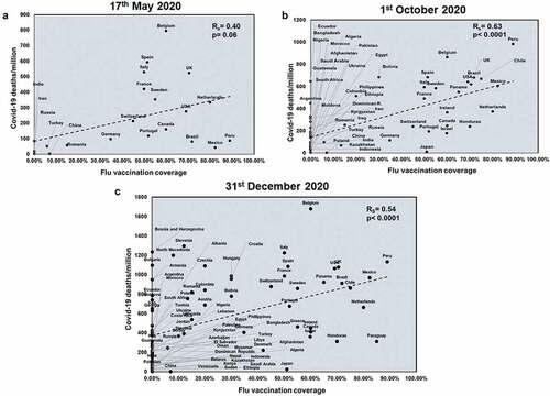 Figure 5. COVID-19 deaths/million positively correlates significantly with Flu vaccination coverage at all three time points studied: Correlation of Flu vaccination coverage was performed for countries at three time points: 17th May 2020 (a), 1st October 2020 (b) and 31st December 2020 (c) with respect to COVID-19 deaths/million. The graphs have been correlated and the Spearman’s correlation coefficient value (Rs) was calculated along with the respective p values. Correlation has been considered statistically significant if p < .1