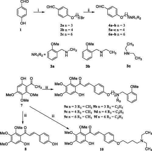 Scheme 1. Synthesis of target chalcone-Vitamin E-donepezil hybrids 8, 9a–f, and 10. Reaction conditions: (i) Br(CH2)nBr, K2CO3, CH3CN, 65 °C, 6–10 h; (ii) NHR1R2 (3a–c), K2CO3, CH3CN, refluxed, 6–8 h; (iii) 1, 4a–b, 5a–c, and 6a–b, 50% KOH, r.t., 3–4 days.