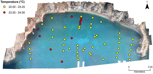 Figure 7. Locations where temperatures below 25°C were measured in the sediment in Paleochori Bay.