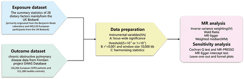 Figure 1 The specific protocol for a two-sample Mendelian randomization analysis.