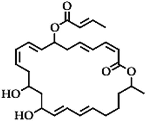 Figure 9. Illustration of the macrolactin structure.