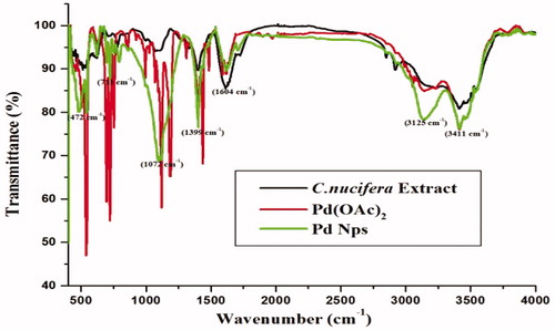 Figure 6. FT-IR spectrum of Pd NPs.