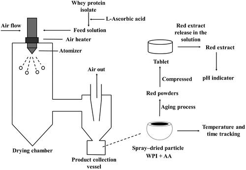 Figure 1. The procedure used to generate the indicators.