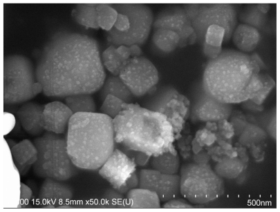 Figure 2 Representative SEM image of the realgar nanoparticles milled for 12 hours.