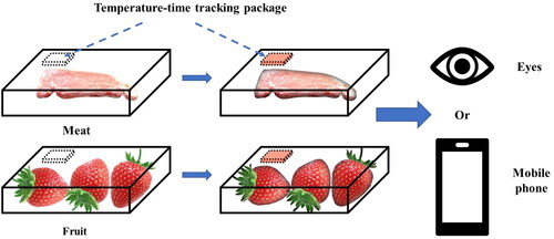 Figure 6. Schematic diagram for the applications of the spray-dried WPI and AA materials.