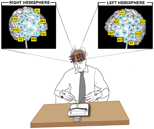 Figure 2. The experimental set-up. Schematic illustration of a study subject engaged in a knot-tying drill. The electromagnetic pulse emitter is shown on the table in front of the knot-tying jig and motion-tracking sensors are visible on the dorsum of the subject's hands. The figure illustrates the 3 × 3 arrangement of NIRS optodes and the relative positions of NIR emitters (red) and detectors (blue). Optode location is obtained by transferring topographic data from a representative subject to a 3D cortical surface image of a high-resolution T1-weighted MRI image. The two subplots illustrate the location of NIR channels (shaded circles) on the cortical surfaces. The approximate International 10-10 landmarks are highlighted (yellow boxes). [Color version available online.]