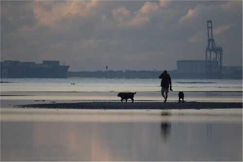 Figure 6. A human and dogs walking at sunrise along mudflats at low tide.