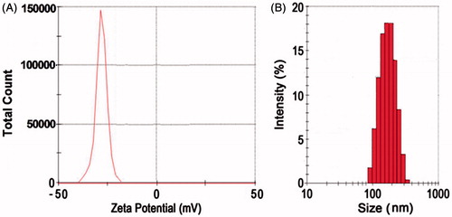 Figure 2. (A) Zeta potential of GHS-NS. (B) Particle size of GHS-NS.