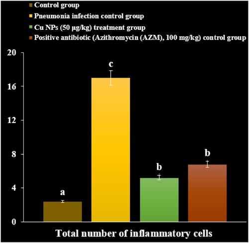 Figure 10. The effect of CuNPs on the total number of inflammatory cells (×106).