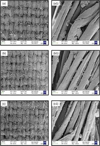 Figure 7. FESEM images of untreated, 15 min plasma treated cotton and CuO nanoparticles coated plasma treated cotton with magnifications of 100 X (a to c) and 3 KX (a1 to c1).