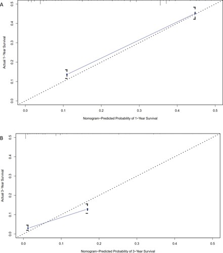 Figure 2. Calibration plot of training set showing (A) nomogram-predicted 1-year overall survival probabilities with the actual 1-year overall survival and (B) the nomogram-predicted 3-year overall survival with the actual 3-year overall survival.