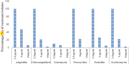 Figure 10. Antibiotics tolerance of PGPR isolates.