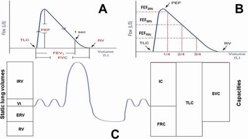 Figure 1. Lung function test parameters. A. Flow-volume curve. The following parameters can be extracted: TLC: represented by the left-most end of the curve (cannot be measured by spirometry); RV: represented by the right-most end of the curve (cannot be measured by spirometry); FVC: represented by the width of the curve; PEF: represented by the height of the curve; FEV1: the distance from TLC to the 1st second mark. B. Flow-volume curve demonstrating the effort-dependent (PEF and FEF75%) and the effort-independent (FEF50% and FEF25%) parameters. Instantaneous FEF% are directly determined from the curve by dividing the FVC into 4 quarters and getting the corresponding flow for the 1st, 2nd, and 3rd quarters representing FEF25%, FEF50%, and FEF75%, respectively. C. Different static lung volumes (on the left) and capacities (on the right).