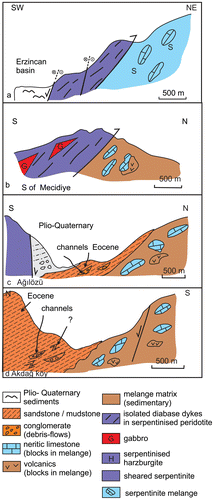 Figure 21. Key structural relationships in the Erzincan area; (a) Serpentinised peridotite cut by isolated sheared diabase dykes and later thrust over serpentinite melange; NW of Erzincan; (b) Serpentinised peridotite cut by isolated sheared diabase dykes; this was then intercalated with ophiolitic gabbro and thrust over the volcanic-sedimentary and ophiolitic melange; N of Erzincan; (c) Volcanic-sedimentary and ophiolitic melange covered unconformably by Eocene basinal sediments and, in turn, by Plio–Quaternary clastic sediments; NW of Erzincan; (d) Volcanic-sedimentary and ophiolitic melange unconformably overlain by Eocene marine sediments, including channellised facies near the base. NE of Erzincan, see Figure 7 for locations of sections.