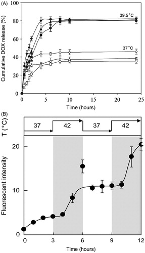 Figure 5. (A) Release profiles of DOX from DOX-loaded p(NIPAAm-co-DMAAm)-PLGA micelles at 37 °C (open markers; below the LCST) and 39.5 °C (closed markers; above the LCST) as a function of time [71]. (B) Intracellular uptake of p(NIPAAm-co-DMAAm)-PDLLA micelles labelled with a fluorophore as the temperature is cycled between 37 ° and 42 °C. Data represents mean ± SD. Reprinted with permission from J. Akimoto, M. Nakayama, K. Sakai, T. Okano, Mol Pharmaceut 2010;7:926–935 [Citation73]. Copyright 2010 American Chemical Society.