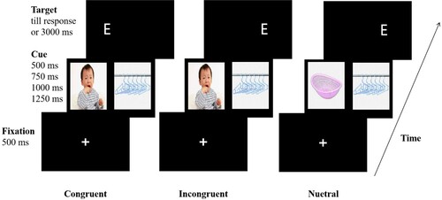 Figure 1. Dot-probe task procedure (Example of a trial sequence with negative stimuli).