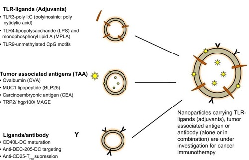 Figure 2 Nanocarriers under investigation in cancer immunotherapy.