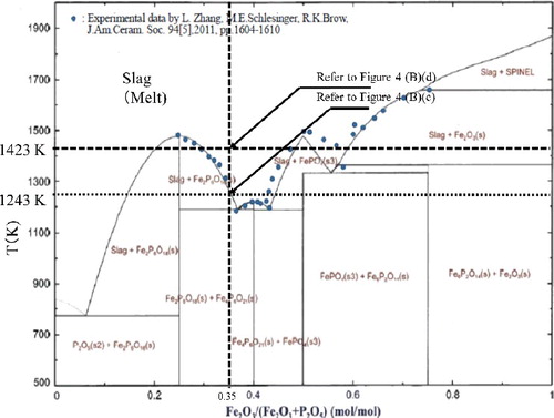 Figure 3. Computational phase diagram of Fe2O3-P2O5 system in air.