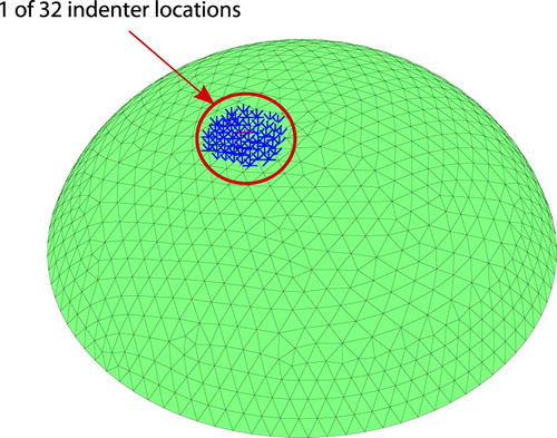 Figure 16. Finite element model of tissue phantom showing one of the indenter locations.
