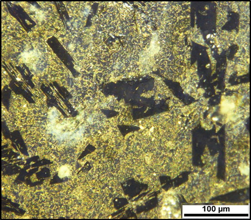 Figure 3. Optical micrograph of the microstructure of the synthesized material.