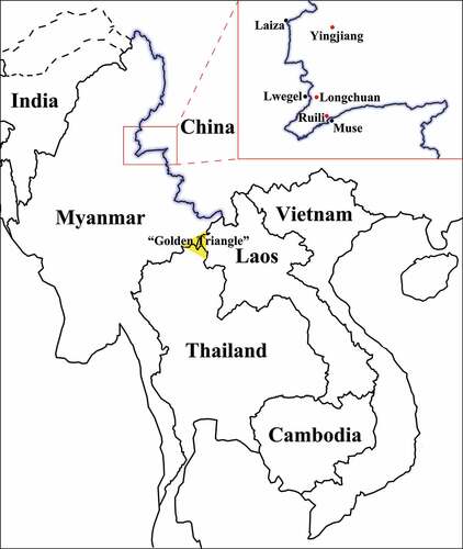 Figure 1. The geographic location of the China-Myanmar border region and sample sites. The black line with a blue shadow shows the border between China and Myanmar; the red and black spots indicate sample sites in China and their border regions in Myanmar, respectively; and the yellow triangle indicates the well-known illegal drug production region called the “Golden Triangle.”.