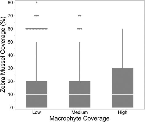 Figure 5. Relationship between macrophyte cover and the % of coverage by live Zebra Mussels on the lake bed in 0.25 m2 quadrats.