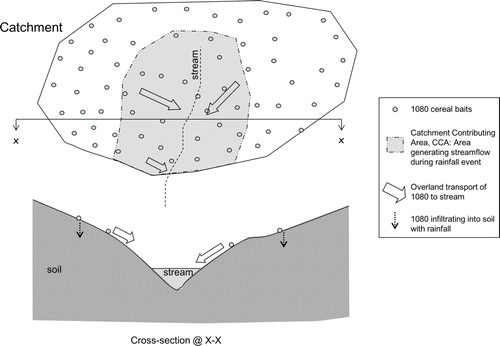 Figure 1  Schematic of catchment contributing area and 1080 overland flow transport model.