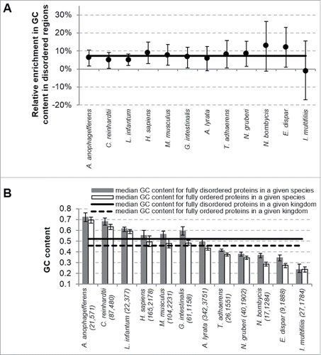 Figure 3. Comparison of the GC content between disordered and ordered proteins for the 12 eukaryotic organisms. Panel (A) shows relative enrichment in GC content (enrichment in the GC content in the disordered regions compare with the GC content in the ordered regions) in the DOProt set (proteins having both disordered and ordered regions). Black circles represent the median value of the relative enrichment and the error bars represent the 30th and 70th centiles. The solid line corresponds to the median value of the relative enrichment over the considered eukaryotic organisms. Panel (B) summarizes average GC content values for fully disordered (DProt data sets) and fully ordered (OProt data sets) proteins. The bars and error bars represent the median and 30 to 70% centiles of the GC content. The solid and dashed lines show the median GC content for fully disordered and fully ordered proteins across the 12 organisms. The species are listed on the x-axis; values in the brackets include the number of fully disordered proteins followed by the number of fully ordered proteins