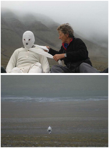 FIGURE 2. Lead author disguised as a polar bear approaching a group of Svalbard reindeer. Limited supplies of white clothing left the back of the observer uncovered. Photos by M. Kardel.