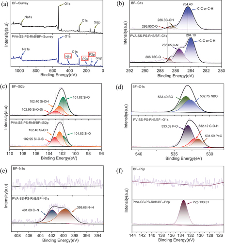 Figure 9. (a) Full-survey XPS profile of PVA-SS-PS-RhB/BF and BF (a), the corresponding high-resolution XPS spectra of C1s (b), Si2p (c), O1s (d), N1s (e), and P2p (f).