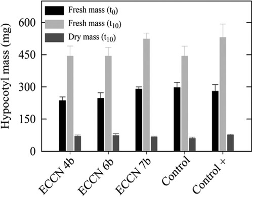 Figure 5. Fresh and dry mass of mung bean hypocotyls treated either with IAA or cell-free culture filtrates from L-trp-supplemented cultures of Aeromonas ECCN 4b, Arthrobacter ECCN 6b, and Enterobacter ECCN 7b. Initial fresh mass (FMt0) was determined at start of the experiment (t0) while final fresh mass (FMt10) and dry mass (DMt10) were determined after a 10-d incubation period (t10). Results are the mean ± S.D. (p < 0.05).