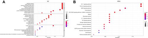Figure 3 GO and KEGG pathway enrichment. (A) Gene oncology (GO) and (B) KEGG pathway analyses.
