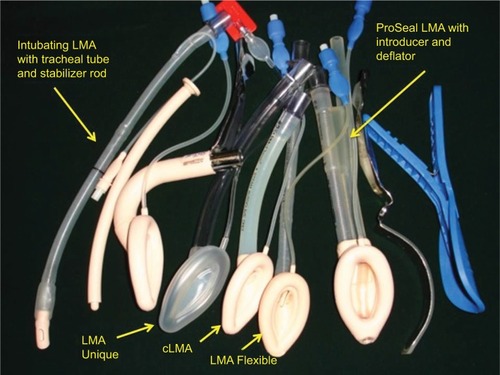 Figure 2 LMA family.