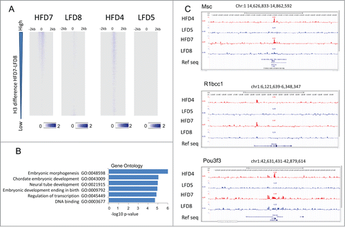 Figure 4. Differential H3 occupancy at regulatory genes in HFD- vs. LFD-treated mice. (A) Heatmap of H3-ChIP signal intensities, normalized to input, around TSS of protein-coding genes (23,350) and 2 kb of flanking sequences for samples HFD7 and LFD8 and their biological replicates, HFD4 and LFD5. Genes are ranked based on H3 occupancy difference at TSS (+500 bp to −500 bp) in HFD7 vs. LFD8, from high- to low-occupancy. (B) GO term analysis of genes highly enriched in H3 (1,074) in HFD samples (HFD7 and HFD4) vs. their control samples (LFD8 and LFD5). (C) Genome browser view presenting H3-enrichment, normalized to input, for sample sets HFD7 (red) and LFD8 (blue) and biological replicates HFD4 (red) and LFD5 (blue) at selected genes involved in transcription regulation.
