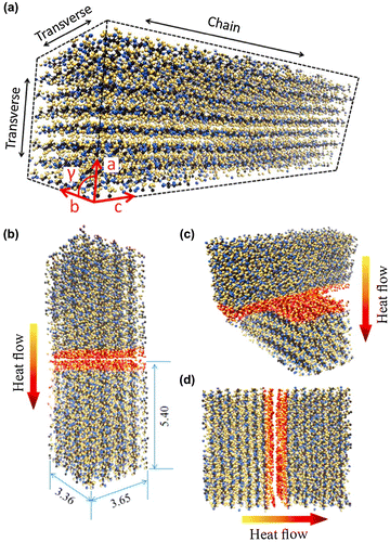 Figure 12. (a) Cellulose Iβ crystal structure used to analyse the interfacial thermal resistance in molecular dynamics simulations with (b)–(d) various contact positions. Distances are in nm. Reprinted with permission from [Citation71]. Copyright 2014 American Chemical Society.