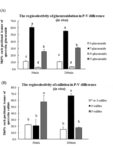 Figure 8. Proportion of each positional isomer of quercetin glucuronide (a) and quercetin sulfate (b) in the intestine at 30 or 240 min after Q3GM administration. Portal and superior vena cava blood was collected before (that is, at 0 min) and at 30, 60, 120, 180, and 240 min after an administration of Q3GM solution (5 mL/kg BW, 100 mmol/L). Values are represented as mean ± SEM shown by vertical bars. n = 4–6. Means not sharing a common letter differ significantly (Tukey-Kramer’s test, P < 0.05).