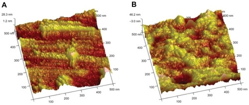 Figure 2 Atomic force microscope images of (A) nanotubular anodized titanium (20 V voltage) and (B) unmodified titanium.