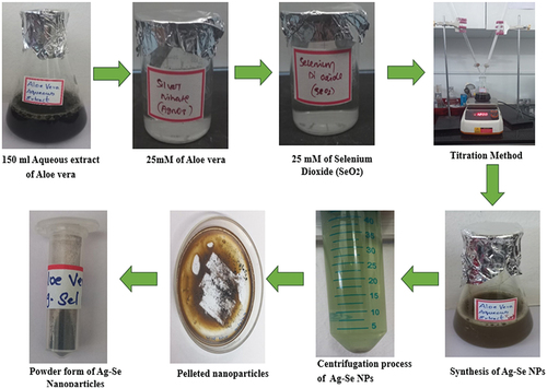 Figure 1. Synthesis of Ag-SeO2 nanoparticles.