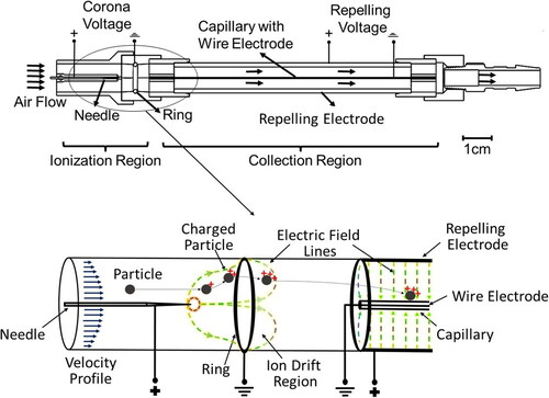 Figure 1. Capillary collector design: The needle ring assembly is called the ionization region and wire tube assembly is called the collection region (top). Particles entering the device are charged due to the corona discharge in the ionization region and are repelled by the electric field in the collection region leading to the collection of particles on the capillary surface (bottom).