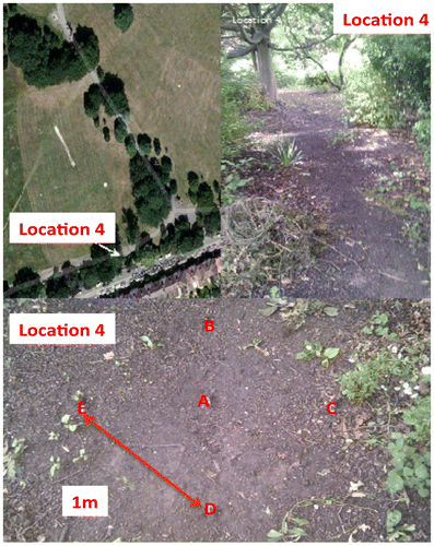 Figure 5. Overview of Location 4.