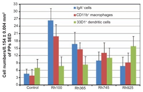 Figure 8 Quantitative analysis of the nanoimmunoresponse of immune cells from PPs 4 hours after oral administration of different-sized, fluorescently labeled, thiolorganosilica particles. Immune cells of PPs were counted in 0.154 ± 0.004 mm2 sections of the SEDs of PPs. The uptake of smaller particles (Rh100) increased the number of CD11b+ macrophages and IgA+ cells two- and fourfold, respectively, when compared with larger particles (Rh925) or five- and sevenfold, respectively, when compared with the control. In contrast, mechanical adhesion of larger particles increased the number of 33D1+ DCs twofold when compared with smaller particles or the control.Note: Bars represented means ± standard deviations (n = 20).Abbreviations: DCs, dendritic cells; IgA, immunoglobulin A; PPs, Peyer’s patches; Rh, rhodamine B; SED, subepithelial dome.