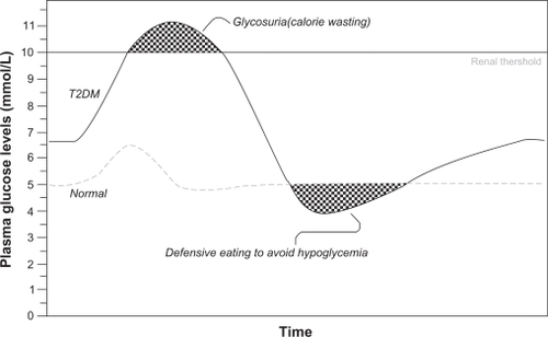 Figure 1 Calorie wasting and defensive eating are possible results of fluctuating plasma glucose levels in type 2 diabetes, confounding weight management.