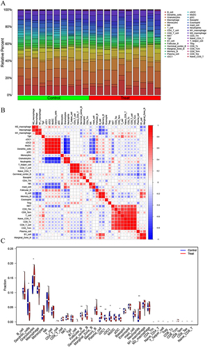 Figure 4 Analysis of immune infiltration. (A) Bar diagram of immune infiltration. (B) Heatmap showing associations between immune cells. (C) Analysis of differential expression of the immune cells between groups (*P<0.05, **P<0.01).