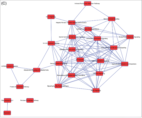 Figure 2. (Continued).