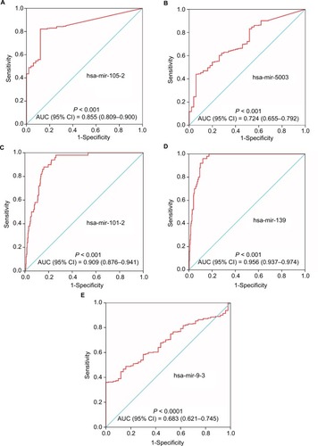 Figure 4 ROC curves of five prognostic DEMs to distinguish HCC tissue from adjacent normal liver tissue.Notes: The order of ROC curves of five prognostic DEMs were as follows: hsa-mir-105-2 (A), hsa-mir-5003 (B), hsa-mir-101-2 (C), hsa-mir-139 (D), and hsa-mir-9-3 (E).Abbreviations: AUC, area under the curve; CI, confidence interval; DEMs, differentially expressed microRNAs; HCC, hepatocellular carcinoma; ROC, receiver–operating characteristic.