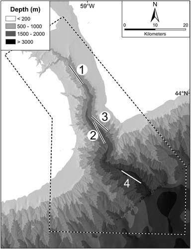 Figure 2. Map of The Gully, showing its bathymetry, the boundary of the MPA and the locations of the principal trawling stations: 1: Head Station, 2: Main Station, 3: Wall Station, 4: Deep Station (Scale bar in kilometres).