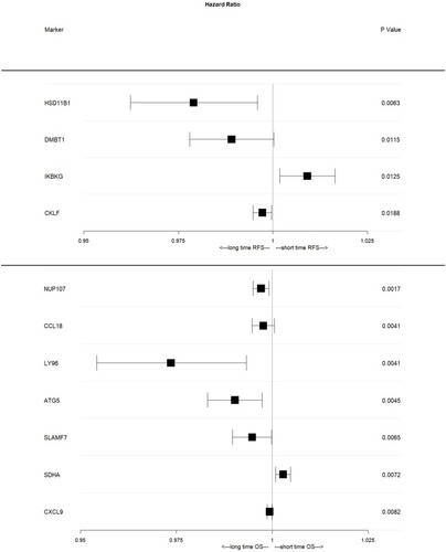 Figure 3 Forest-plot of the genes included in the DFS and OS scores. The figure illustrates the influence of tumors gene expression to patients recurrence-free (upper lines) or overall (lower lines) survival. Hazard ratios (squared dots) as well as the 95CI (black lines) are shown. High expression levels of IKBKG are associated with shortened RFS, whereas the remaining three (HSD11B1, DMBT1, CKLF) associate with prolonged RFS. For overall survival, only SDHA expression results in prolonged, whereas the others associate to shortened overall survival rates. For RFS, HSD11B1 and IKBKG seem to have the strongest impact on prolonged and shortened survival, respectively. For both, 95% CI does not overlap the HR of 1, giving a clear hint for the meaning of the presented association. For OS, LY96 and ATG5 seem to have the strongest impact on prolonged OS under platin-based chemotherapy. Interestingly, none of the markers made it to both scores. Of note, only IKBKG (RFS) and SDHA (OS) indicate a shortened survival time.