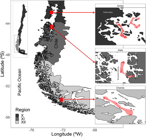 Figure 1. Map showing the sampling locations on each administrative region of Chilean Patagonia. Shaded area indicates the sampled polygons and red dots the sampled hauls on each locality (Achao, Gala and Charles).